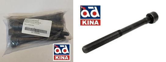 SİLİNDİR KAPAK SAPLAMASI (ADET) MEGANE IV 1.6 16V H4M DUSTER II DOKKER | 11056ED000