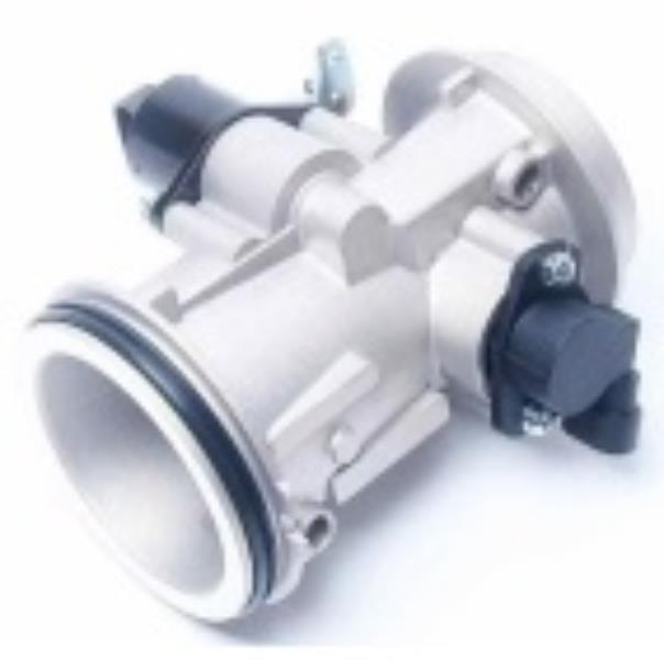 GAZ KELEBEĞİ RNBK005 CLIO KANGO II